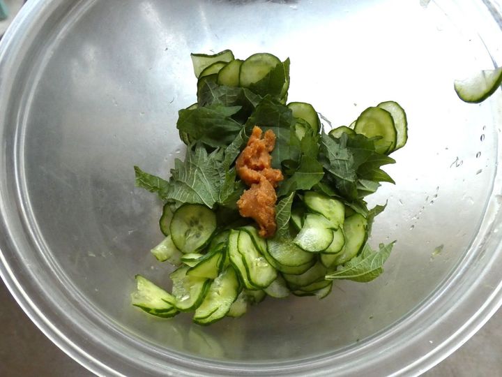 1分で完成！「キュウリのシソ味噌和え」