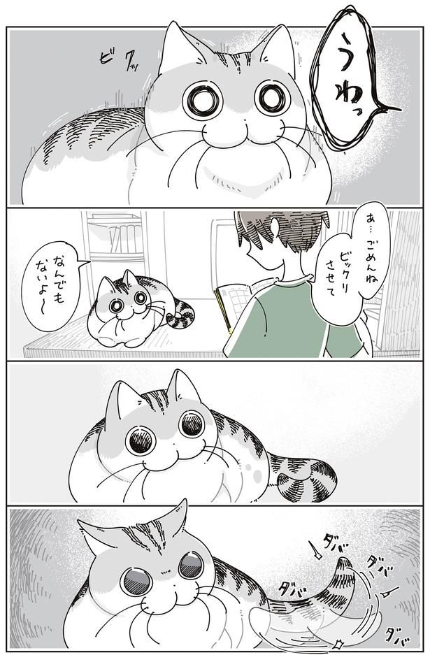 ビクッ！ （C）キュルZ／KADOKAWA