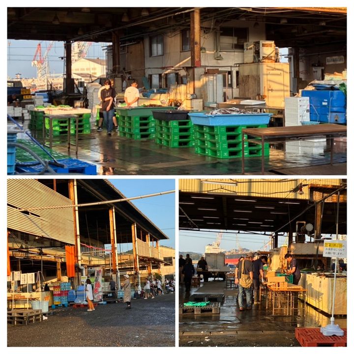 早起きして魚の朝市に行ってみた！