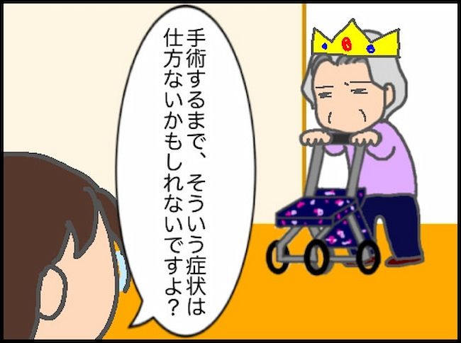 頑張り過ぎない介護／まる子