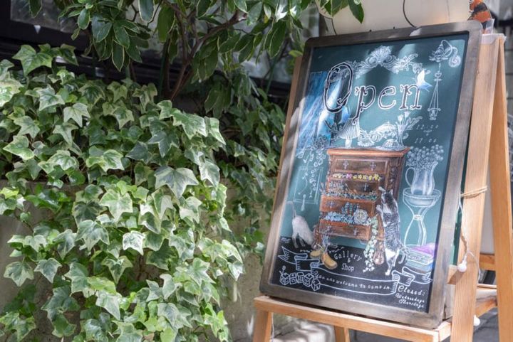 ねこの引き出し