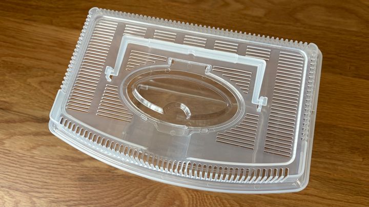 ダイソーの虫かごを買ってみた！100均の昆虫ケースは使いやすい？【レビュー】