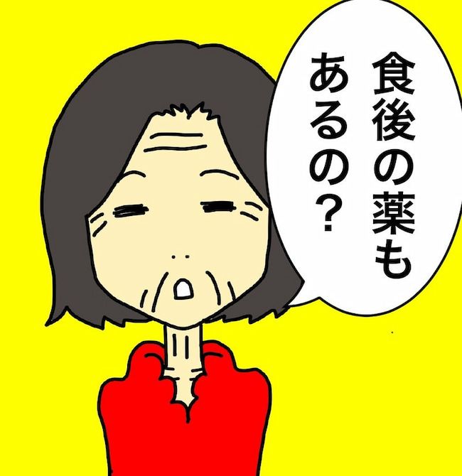 母の認知症介護日記／ワフウフ