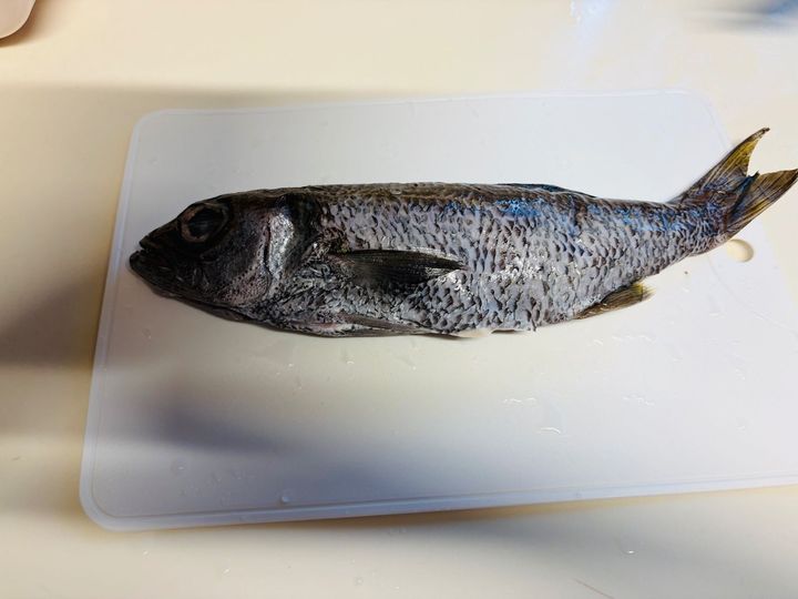 天然魚クエスト「石もち」届きました。早速アクアパッツァ！