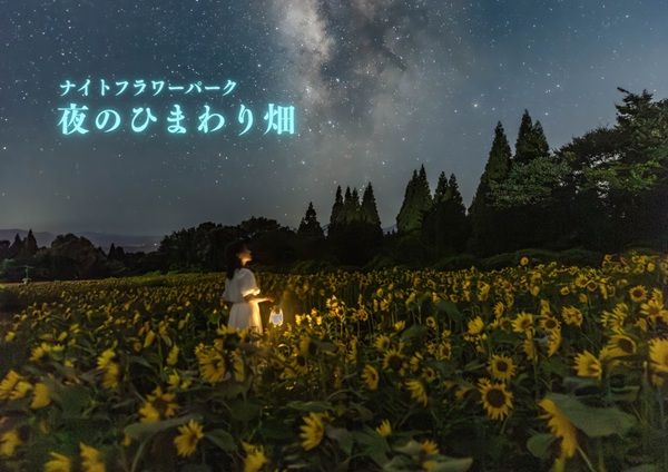 【大分県竹田市】くじゅう花公園『ナイトフラワーパークSummer』開催！夜のひまわり畑をめぐろう