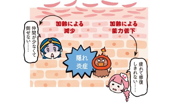 加齢による能力低下「疲れて修復しきれない……」 加齢による減少「仲間が少なくて倒せない……」 隠れ炎症