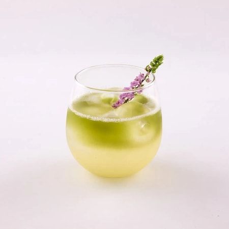 【東京都世田谷区】「YMY GYOKURO TEAROOM」で玉露せいろ蒸しランチやかき氷、アレンジドリンクが登場！