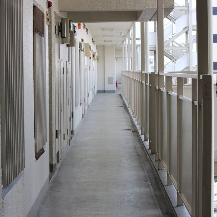 マンションの共用廊下が奥まで一直線に続き、玄関ドアが並んでいる通路の昼間の風景