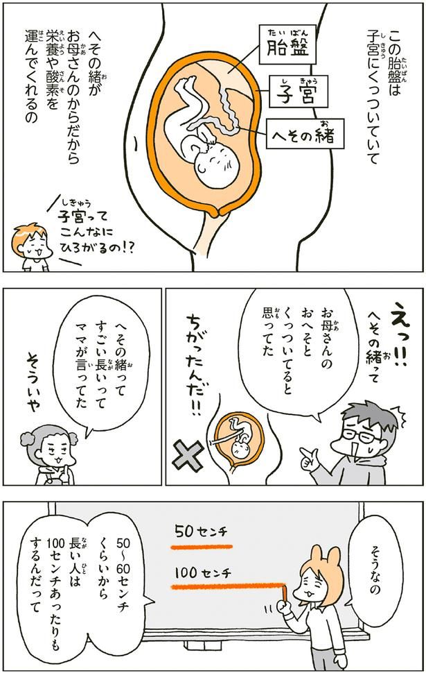 へその緒ってすごい長いってママが言ってた （C）フクチ マミ、村瀬 幸浩、北山 ひと美／KADOKAWA