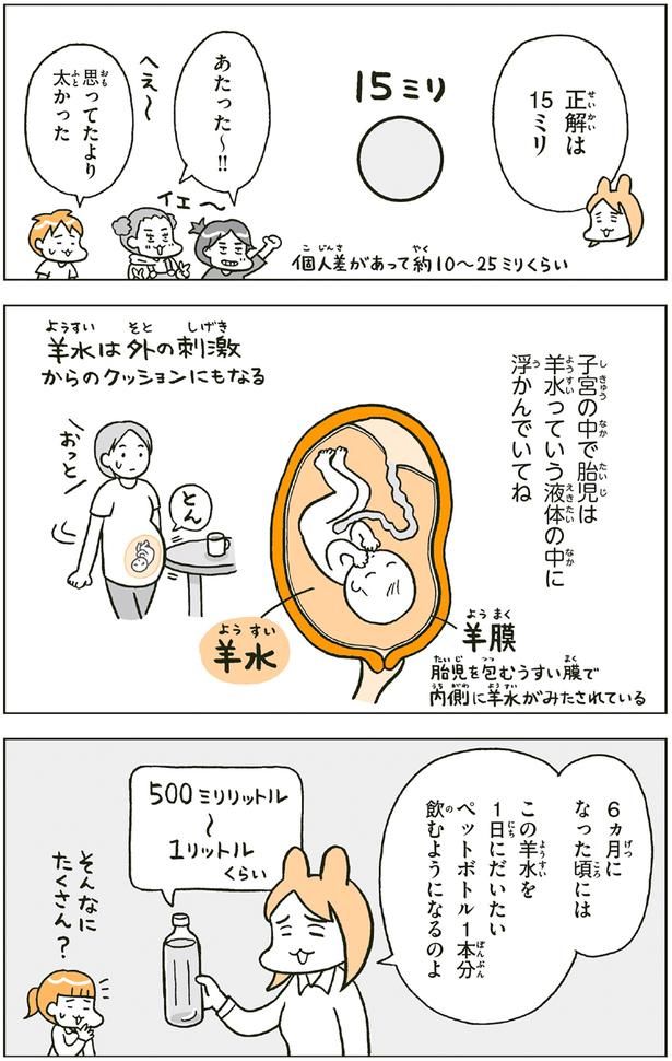 思ってたより太かった （C）フクチ マミ、村瀬 幸浩、北山 ひと美／KADOKAWA