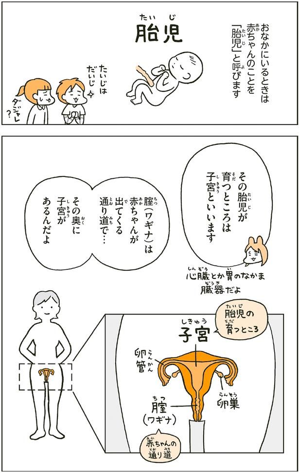 胎児が育つところは子宮といいます （C）フクチ マミ、村瀬 幸浩、北山 ひと美／KADOKAWA