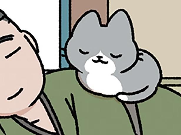 ねこの居場所は （C）ぱんだにあ／KADOKAWA