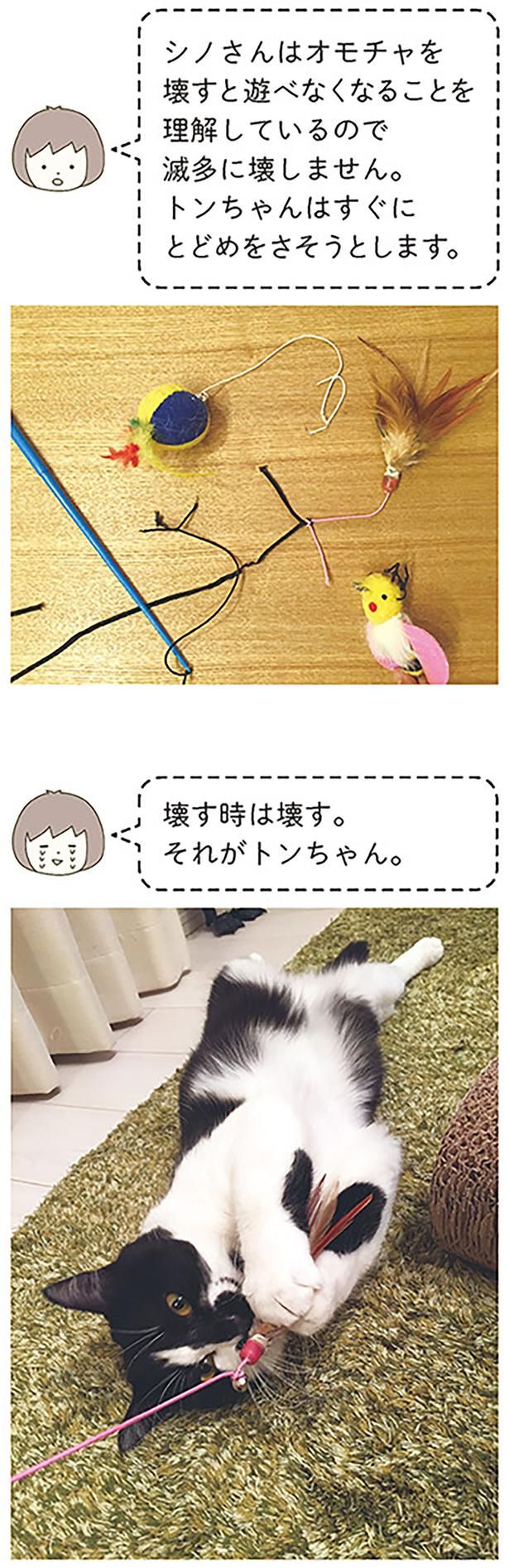 壊す時は壊す （C）卵山玉子／KADOKAWA