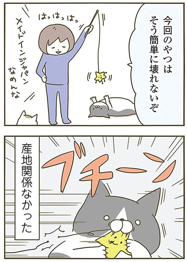 産地関係なかった （C）卵山玉子／KADOKAWA