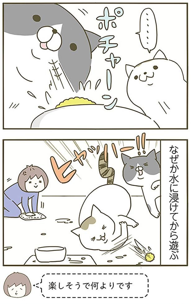 楽しそうで何よりです （C）卵山玉子／KADOKAWA