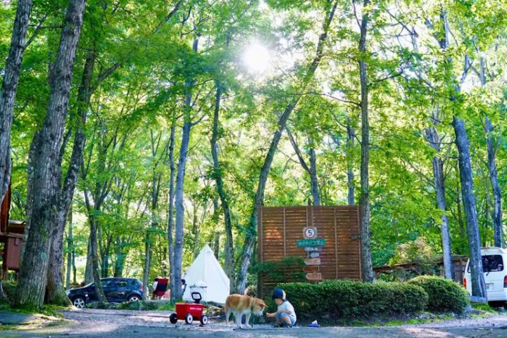 キャンピングカーが利用できるキャンプ場12選【福島県】