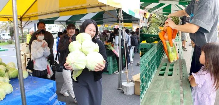キャベツ抱え放題と野菜・果物詰め放題