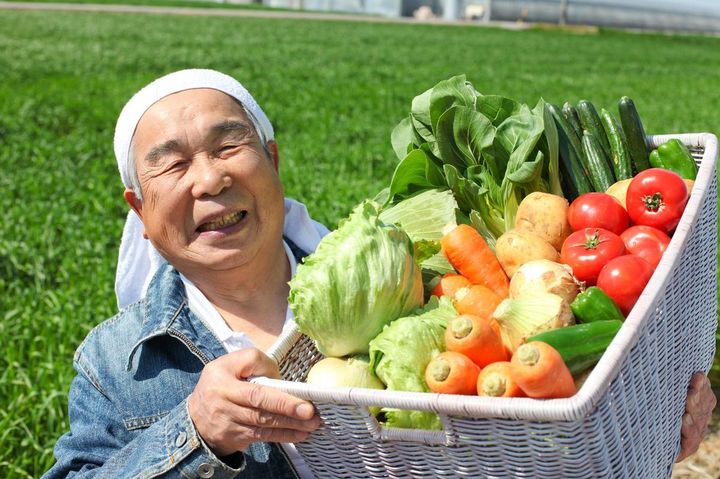 カゴに入った野菜を見せる農家
