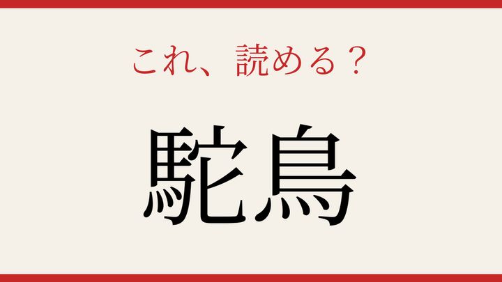 【難読漢字】社会人なら読めるはず！動物の名前を漢字で読もうの問題画像