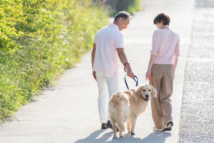 「まだ取り戻せるかも」期待が入り混じり、徐々に引き返せない事態に……投資詐欺で夫婦の貯金の大半を喪失した年金暮らし・64歳男性の後悔