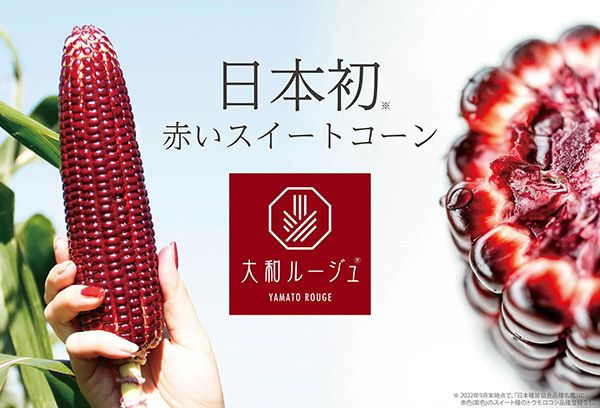 【奈良県奈良市・大和郡山市】老舗2社がタッグ！赤紫トウモロコシ「大和ルージュ」の限定メニューが登場