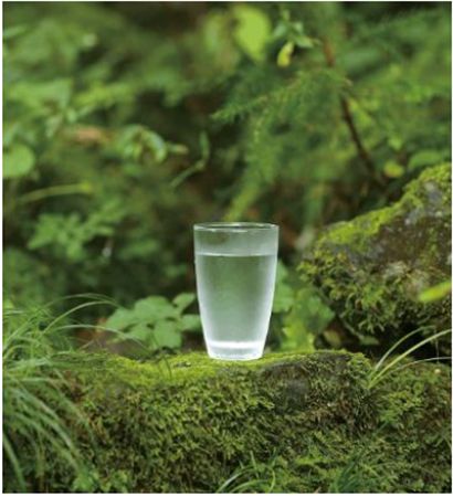 【東京都文京区】和カフェ「雨音茶寮」にフレシャスの天然水を使用した和菓子と冷茶の限定メニュー登場