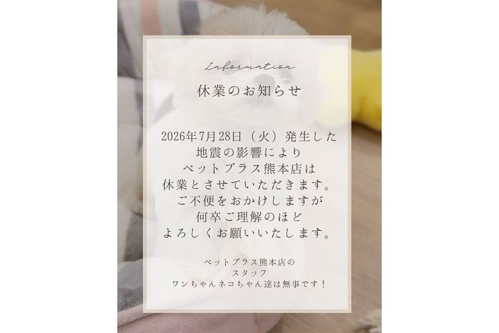 ペットプラス公式Instagram（@petplus_official）より