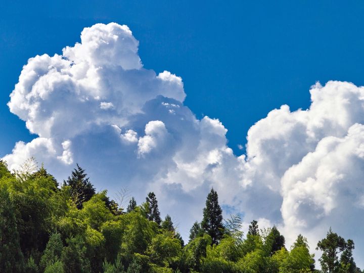 入道雲