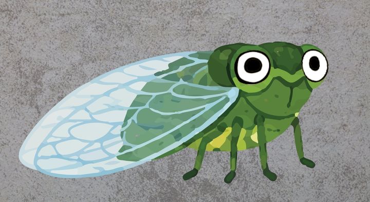 「セミの命は七日」はどうやって作られたか？