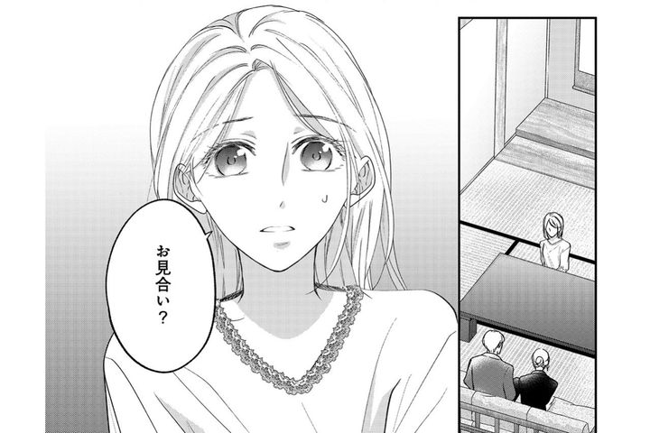 親が決めた道を歩まされ、わかり合えない夫との結婚生活。1年耐えれば自由になれるはずだったのに【秘め婚 離婚前夜、今から愛を育てます #13】