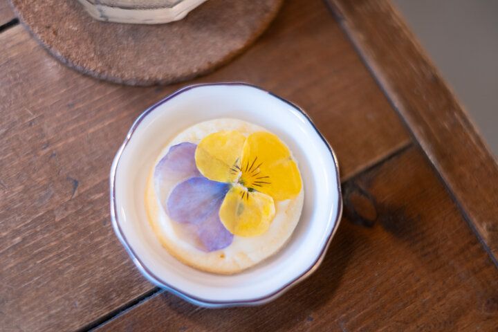 まるで物語の入り口のよう。花と緑に囲まれた小さなカフェ／高井戸「花ト喫茶 ネコノコバン」