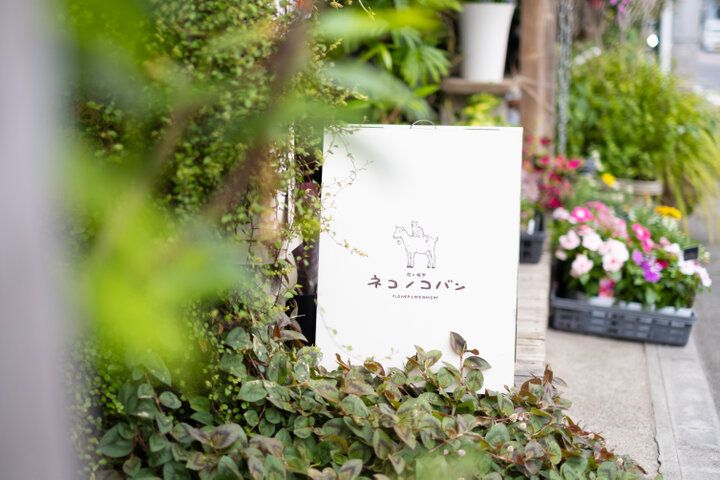 まるで物語の入り口のよう。花と緑に囲まれた小さなカフェ／高井戸「花ト喫茶 ネコノコバン」