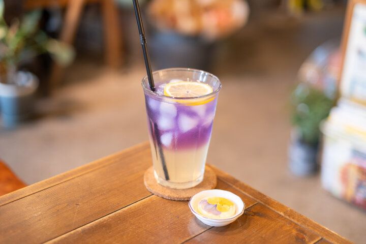 まるで物語の入り口のよう。花と緑に囲まれた小さなカフェ／高井戸「花ト喫茶 ネコノコバン」