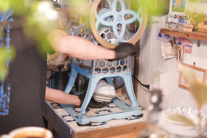 まるで物語の入り口のよう。花と緑に囲まれた小さなカフェ／高井戸「花ト喫茶 ネコノコバン」