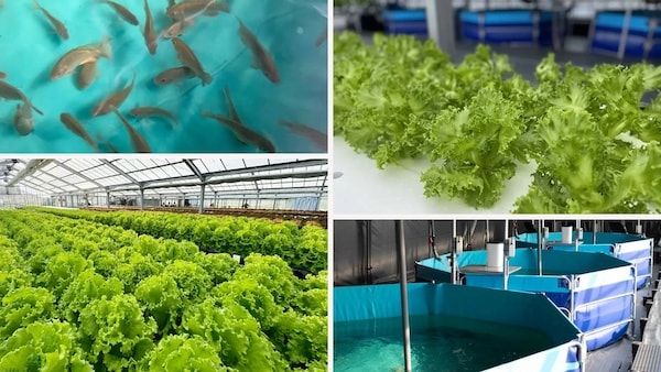 【岐阜県八百津町】スーパーアプリが実践型教育施設「アマナ自然学校」の開校のためクラファンを開始！