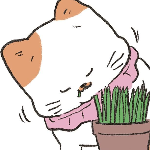  お隣の猫さんが食べているねこ草 （C）やじま／KADOKAWA