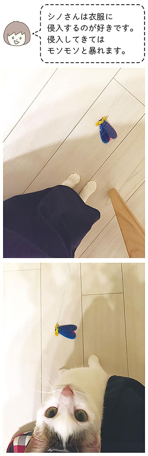 モソモソと暴れます （C）卵山玉子／KADOKAWA