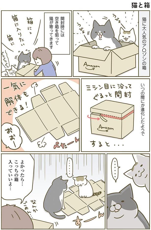 猫と箱 （C）卵山玉子／KADOKAWA