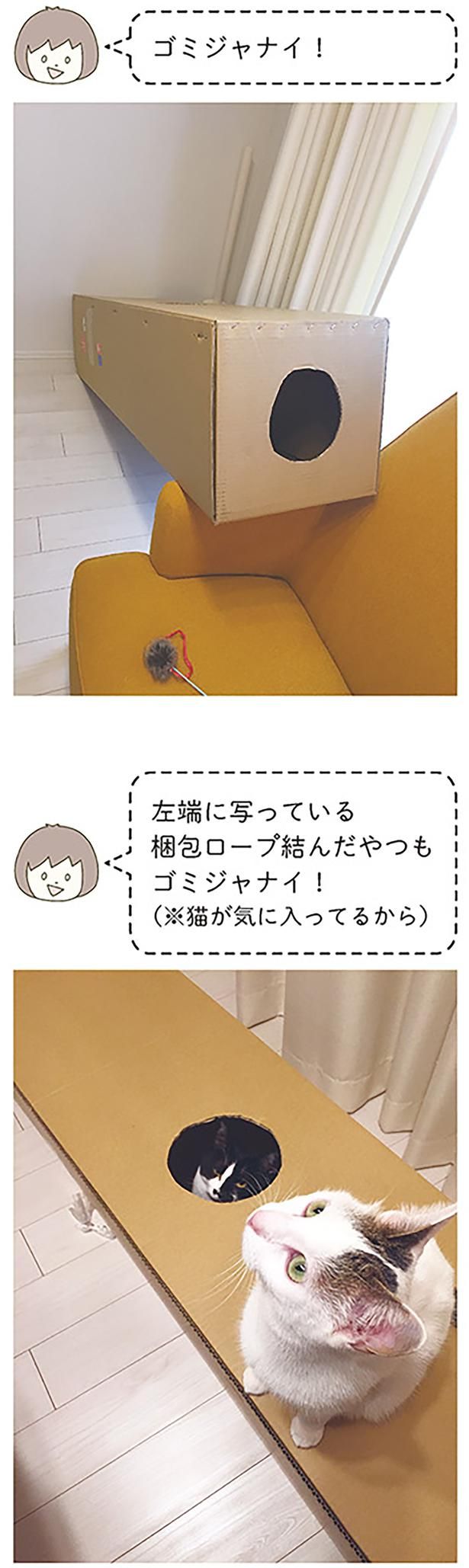 ゴミジャナイ！ （C）卵山玉子／KADOKAWA