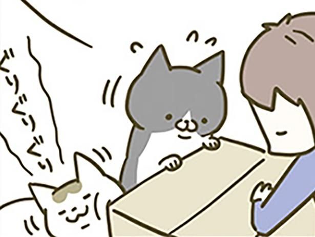 大人気なダンボール （C）卵山玉子／KADOKAWA
