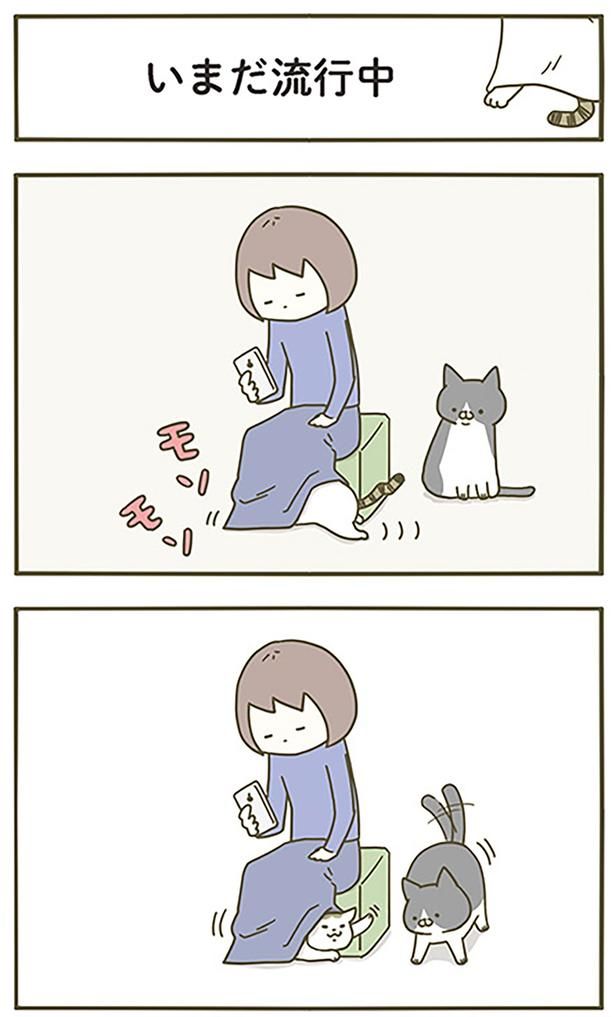 いまだ流行中 （C）卵山玉子／KADOKAWA