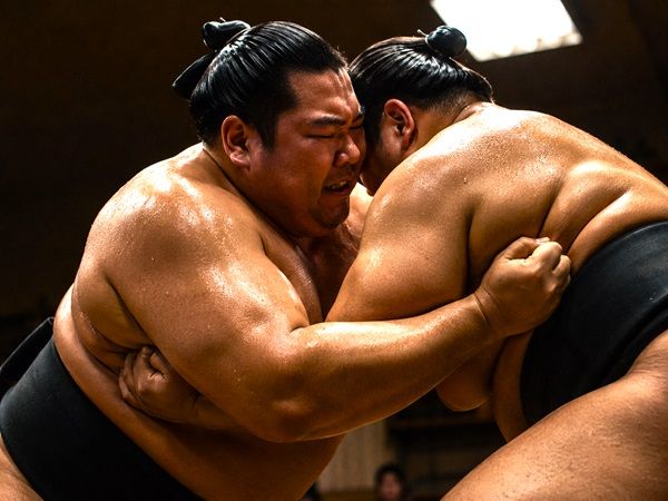 【福岡県福岡市】福岡武道館で「大相撲中村部屋」が合宿！公開稽古や相撲体験、ちゃんこ鍋交流会など