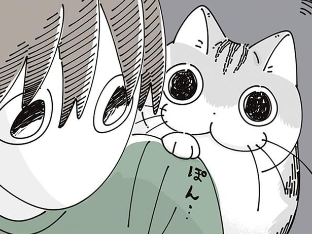 肩ポン （C）キュルZ／KADOKAWA