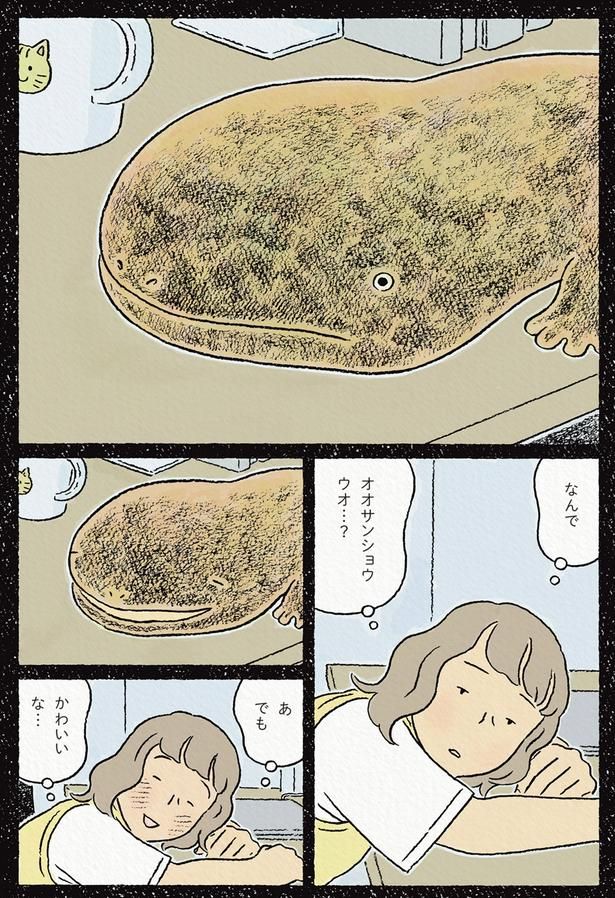 なんでオオサンショウウオ…？ （C）ながしまひろみ／KADOKAWA