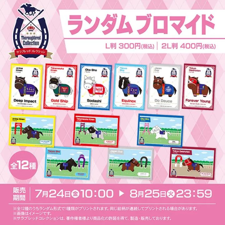 ランダムブロマイド全12種