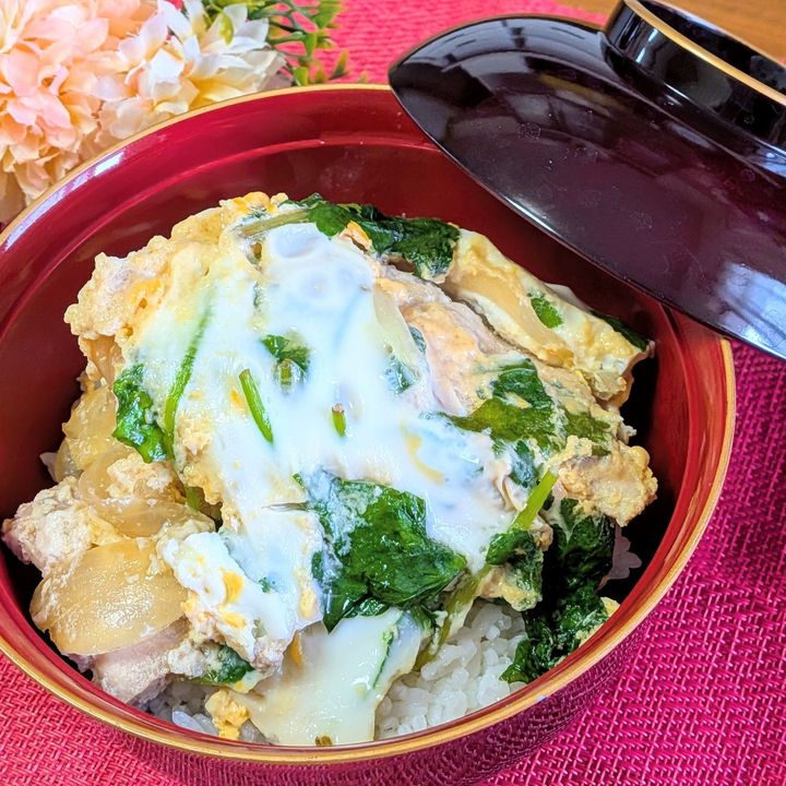 【電子レンジ調理】簡単親子丼作ってみました〜