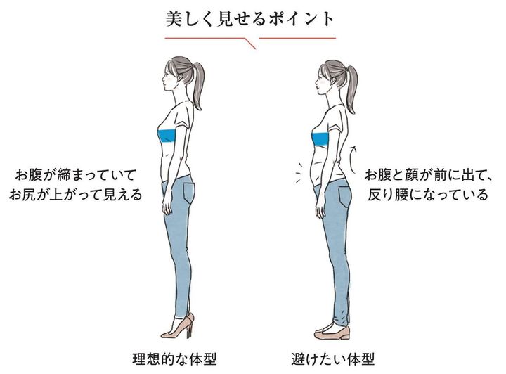 美しく見える体型