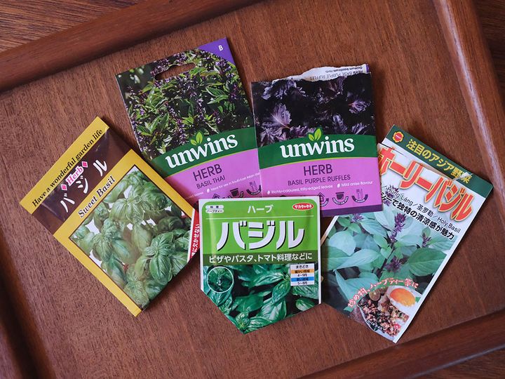 いろいろなバジル
