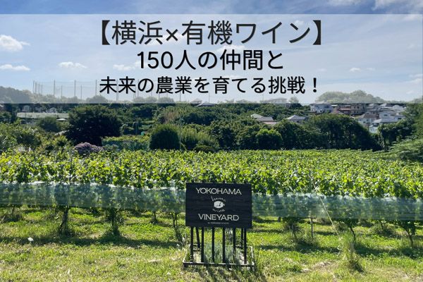 【神奈川県横浜市】「横濱ワイナリー」有機ブドウ栽培の未来を切り拓くクラファンを実施中