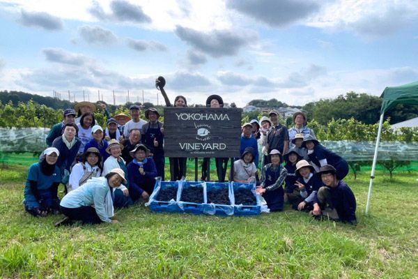 【神奈川県横浜市】「横濱ワイナリー」有機ブドウ栽培の未来を切り拓くクラファンを実施中